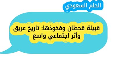 محتوى الكتاب