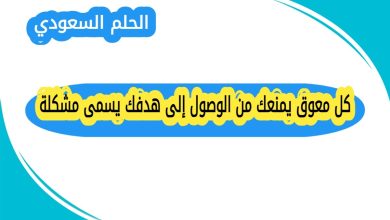 كل معوق يمنعك من الوصول إلى هدفك يسمى مشكلة