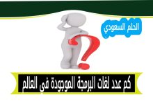 كم عدد لغات البرمجة الموجودة في العالم