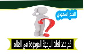 كم عدد لغات البرمجة الموجودة في العالم