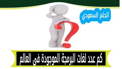 كم عدد لغات البرمجة الموجودة في العالم
