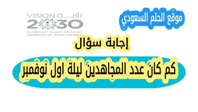 كم كان عدد المجاهدين ليلة اول نوفمبر