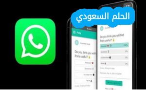 كيف اسوي تصويت في الواتس