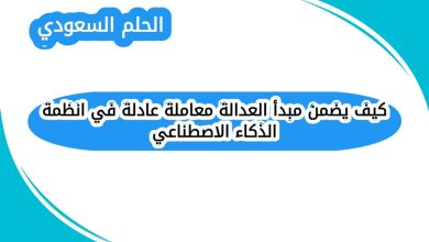 كيف يضمن مبدأ العدالة معاملة عادلة في انظمة الذكاء الاصطناعي