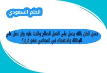 حسن الظن بالله يحمل على العمل الصالح والحث عليه وان حمل على البطالة والانهماك في المعاصي فهو غرور؟