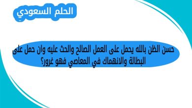 حسن الظن بالله يحمل على العمل الصالح والحث عليه وان حمل على البطالة والانهماك في المعاصي فهو غرور؟