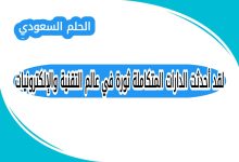لقد أحدثت الدارات المتكاملة ثورة في عالم التقنية والإلكترونيات