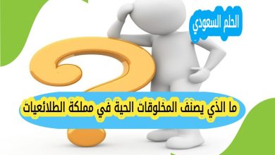 ماالذي يصنف المخلوقات الحية في مملكة الطلائعيات؟