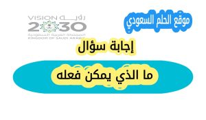 معنى سؤال ما الذي يمكن فعله