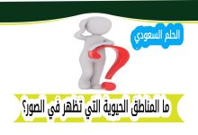ما المناطق الحيوية التي تظهر في الصور؟