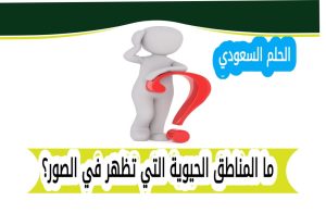 ما المناطق الحيوية التي تظهر في الصور؟