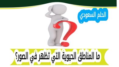 ما المناطق الحيوية التي تظهر في الصور؟