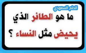 ما هو الحيوان الذي يحيض مثل النساء