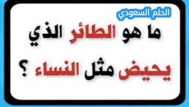 ما هو الحيوان الذي يحيض مثل النساء