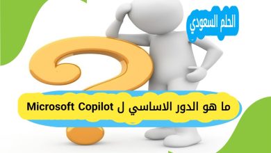 ما هو الدور الاساسي ل Microsoft Copilot