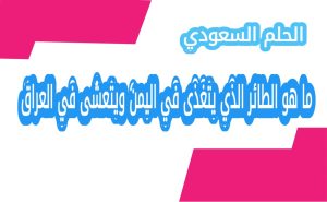ما هو الطائر الذي يتغذى في اليمن ويتعشى في العراق