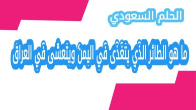 ما هو الطائر الذي يتغذى في اليمن ويتعشى في العراق