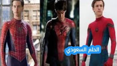 ما هي اجزاء سبايدر مان ويكيبيديا
