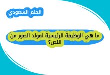 ما هي الوظيفة الرئيسية لمولد الصور من النص