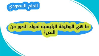 ما هي الوظيفة الرئيسية لمولد الصور من النص
