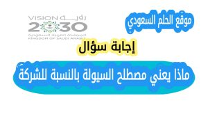 ماذا يعني مصطلح السيولة بالنسبة للشركة