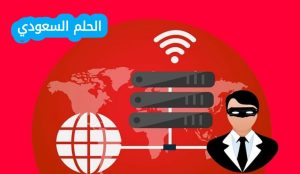مجموعة من البروتوكولات وبرامج أدوات المساعدة التي تدعم اتصال الشبكة منخفض المستوى هو