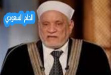 محمد أحمد عمر هاشم ويكيبيديا السيرة الذاتية