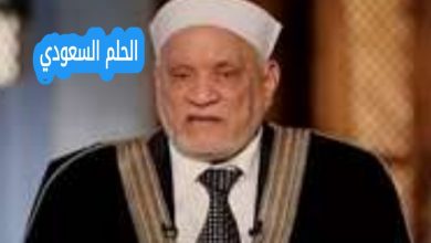 محمد أحمد عمر هاشم ويكيبيديا السيرة الذاتية