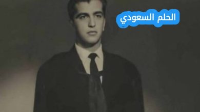 من هو محمود يوسف سعادة ويكيبيديا؟ تعرف على السيرة الذاتية للعالم المصري الذي ساهم في تطوير منظومة الدفاع الجوي قبل حرب أكتوبر، ومسيرته العلمية الحافلة حتى وفاته عام 2011