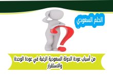 من أسباب عودة الدولة السعودية الرغبة في عودة الوحدة والاستقرار
