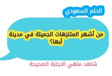 من أشهر المتنزهات الجميلة في مدينة أبها