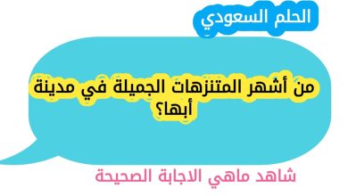 من أشهر المتنزهات الجميلة في مدينة أبها