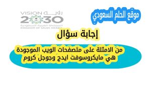 من الامثلة على متصفحات الويب الموجودة هي مايكروسوفت ايدج وجوجل كروم
