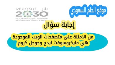 من الامثلة على متصفحات الويب الموجودة هي مايكروسوفت ايدج وجوجل كروم