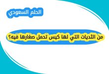 من الثديات التي لها كيس تحمل صغارها فيه؟