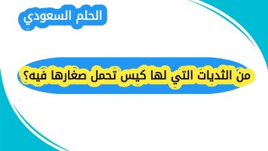 من الثديات التي لها كيس تحمل صغارها فيه؟
