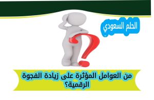 من العوامل المؤثرة على زيادة الفجوة الرقمية؟