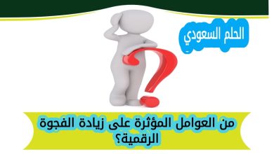 من العوامل المؤثرة على زيادة الفجوة الرقمية؟
