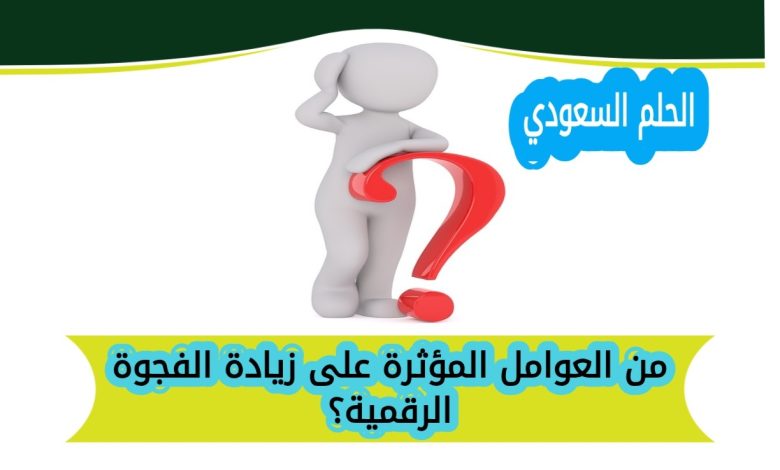 من العوامل المؤثرة على زيادة الفجوة الرقمية؟