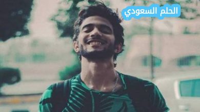 من هو شادي حبشي السيرة الذاتية