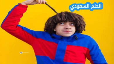 من هو عمر شاور
