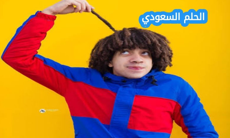 من هو عمر شاور