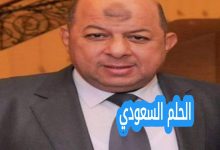 محسن المحلاوي ويكيبيديا
