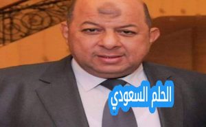 محسن المحلاوي ويكيبيديا