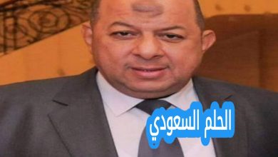 محسن المحلاوي ويكيبيديا
