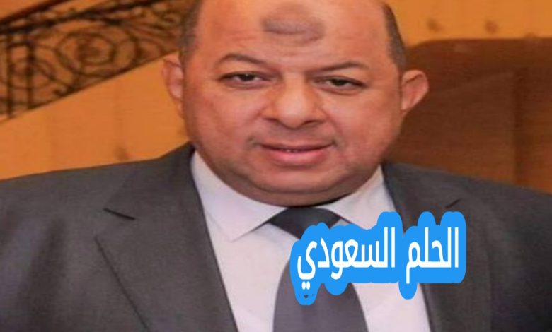 محسن المحلاوي ويكيبيديا