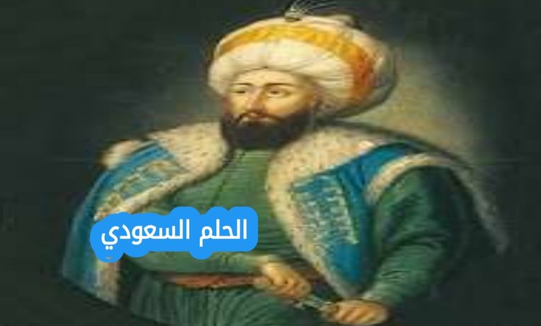 محمد الفاتح ويكيبيديا – السيرة الذاتية للسلطان العثماني فاتح القسطنطينية