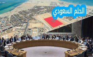 من هي الدول التي صوتت لصالح المغرب