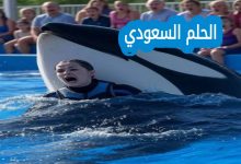 من هي جيسيكا رادكليف ويكيبيديا