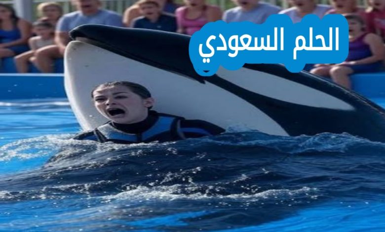 من هي جيسيكا رادكليف ويكيبيديا